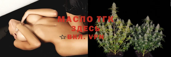 индика Краснослободск