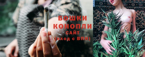прущие грибы Коряжма